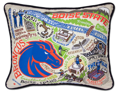 Catstudio Collegiate Pillows (More Options)